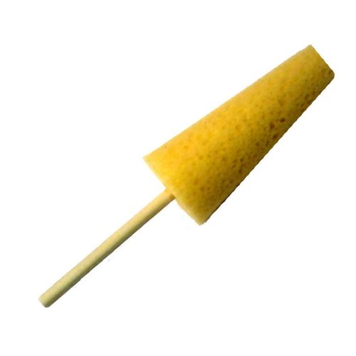 Sponge Sticks