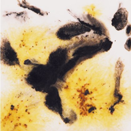 Cheetah Mayco Crystalite Cheetah Mayco Crystalite