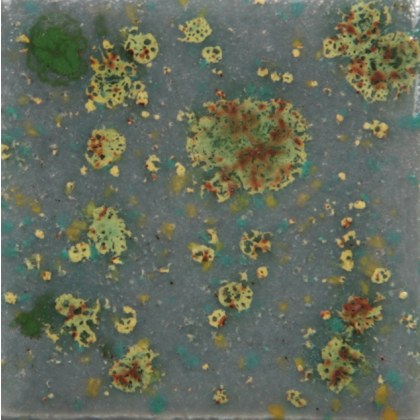 Mountain Moss Mayco Jungle Gem Mountain Moss Mayco Jungle Gem