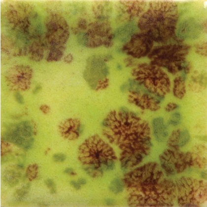 Pistachio Mayco Jungle Gem Pistachio Mayco Jungle Gem