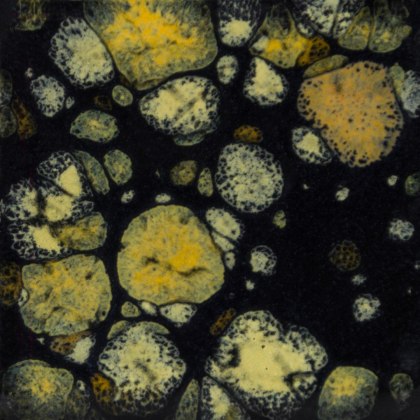 Black Iris Mayco Jungle Gem Black Iris Mayco Jungle Gem