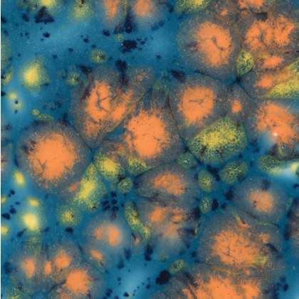 Koi Pond Mayco Jungle Gem Koi Pond Mayco Jungle Gem