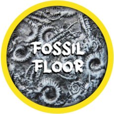 Rolltex Fossil Floor Mini Series