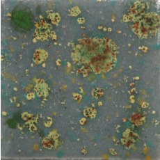 Mountain Moss Mayco Jungle Gem Mountain Moss Mayco Jungle Gem