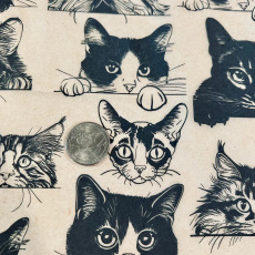 Zany Cats Underglaze Transfer Sheet