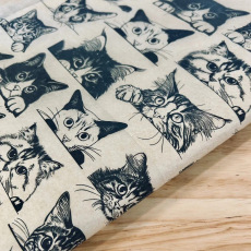 Zany Cats Underglaze Transfer Sheet Zany Cats Underglaze Transfer Sheet