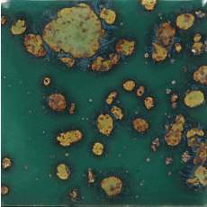 Mystic Jade Mayco Jungle Gem Mystic Jade Mayco Jungle Gem