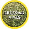 Rolltex Creeping Vines Mini Series