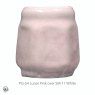 Lunar Pink Amaco Phase Brush On Glaze PG-54 Lunar Pink Amaco Phase Brush On Glaze PG-54